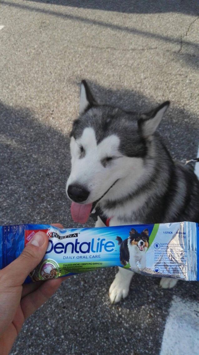 una nuova entrata in famiglia!