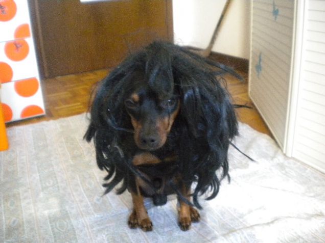 Scippo dopo il parrucchiere