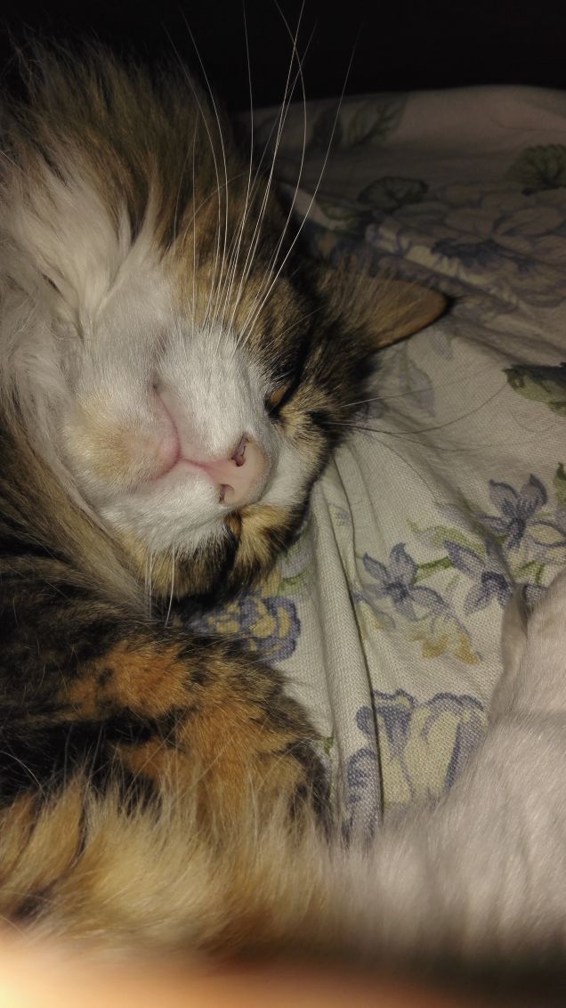 insieme per tutta  la vita