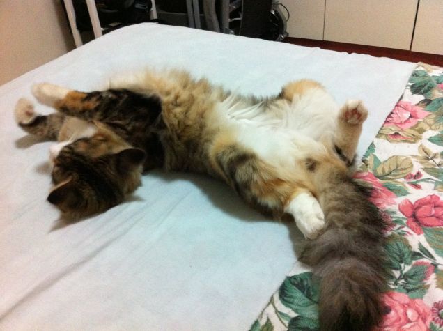 Tra una corsa e l'altra...