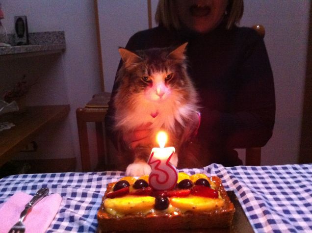 3 anni e non sentirli