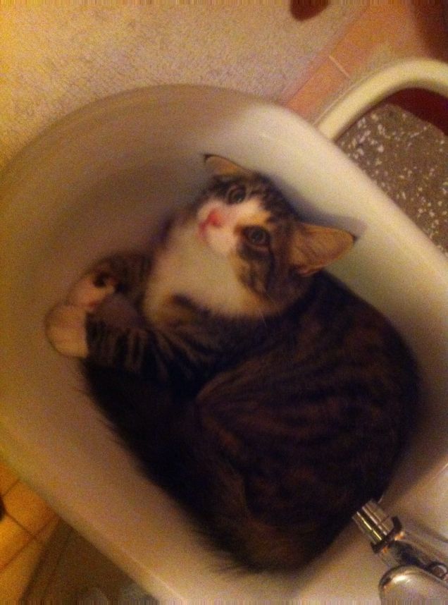 Si sa mai che poi mi venga sete...