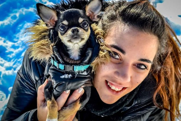 Il cane delle nevi 