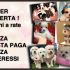 JACK RUSSELL MINIATURE , ITALIANI , PAGABILI A RATE