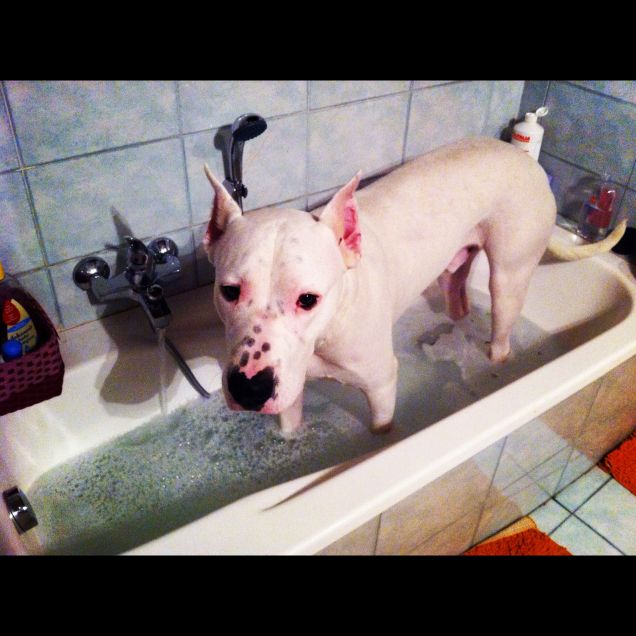 Athos ama fare il bagno :))
