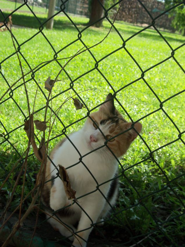 giocando nel giardino di casa..