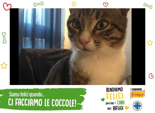 Abbiamo un 'riff' Geghegè Geghegè