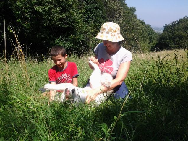 Bianca: il cane Bionico