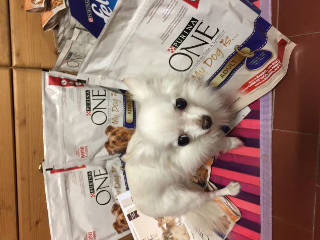 Trilly e la sua pappa