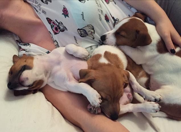 Insieme si dorme meglio