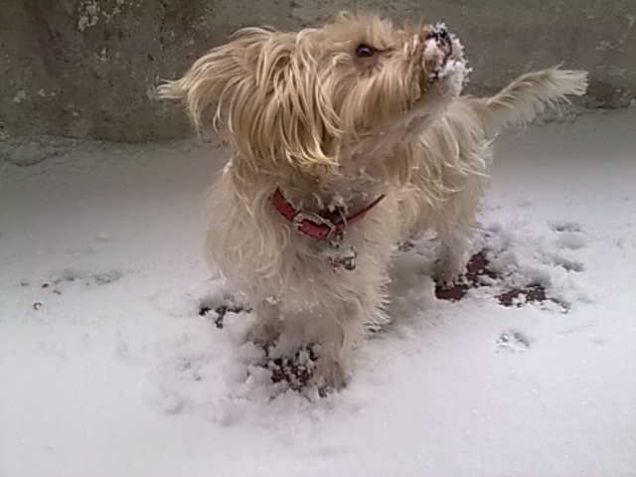 quanto mi piace la neve..........