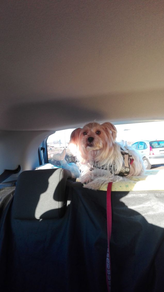 da quassù ho tutto sotto controllo!