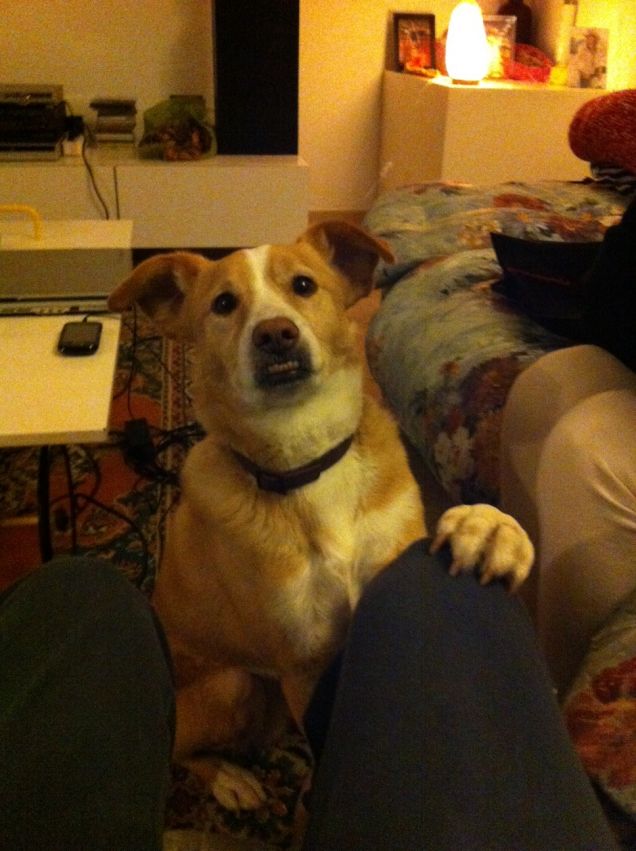 ...ti pregoooooo posso salire sul divano?=)