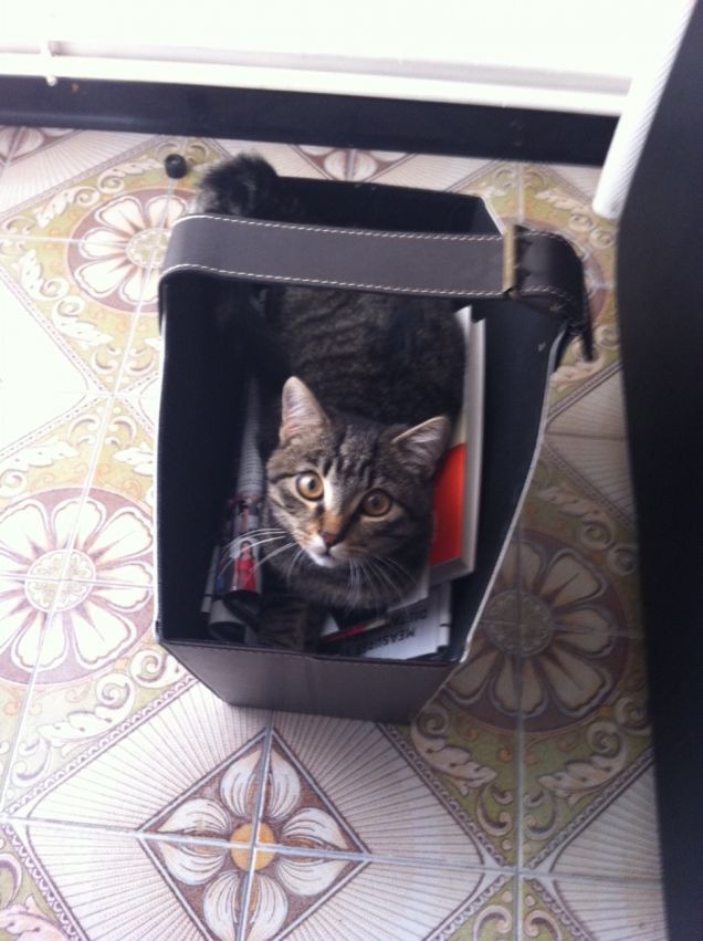 voglio dormire qui=)