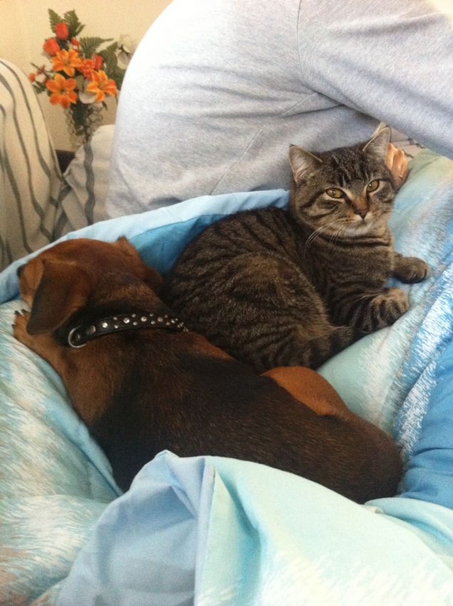 NOI VOGLIAMO STARE VICINI VICINI