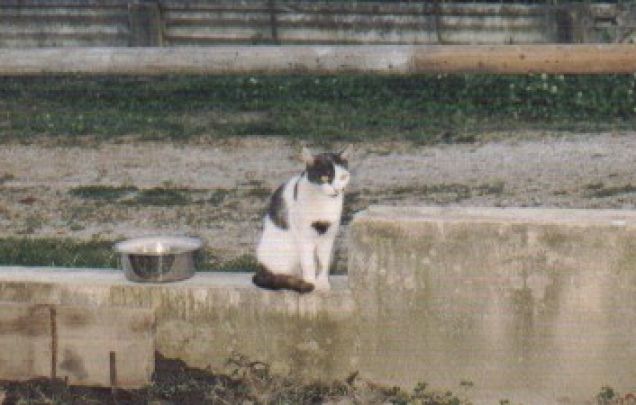 Emilia in giardino