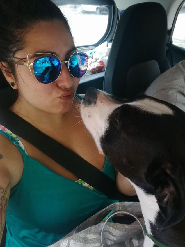 in macchina prima di partire