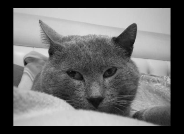 Dorian ed il suo primo piano