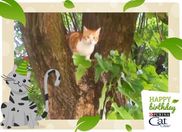 luna guarda il mondo dall'alto