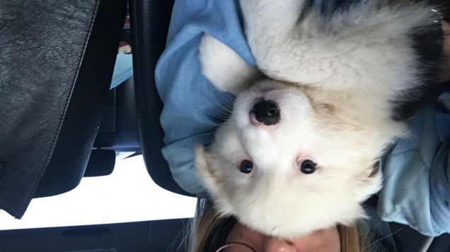 Jenna appena portata a casa