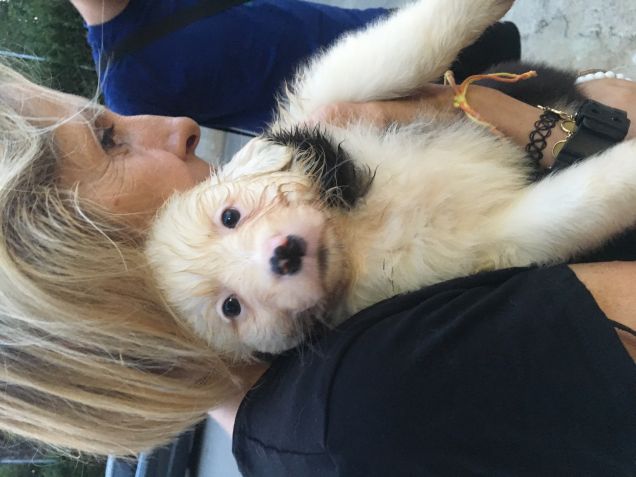 Jenna alla nostra prima visita