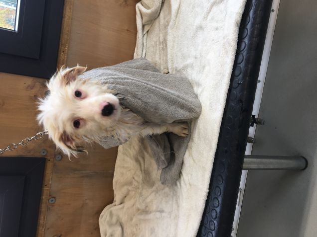 Jenna al primo bagnetto