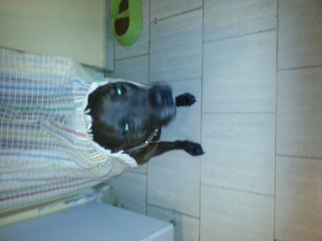 Il Curiosone in Cucina !