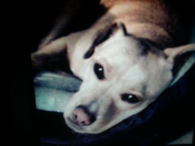 La mia bellissima Luna