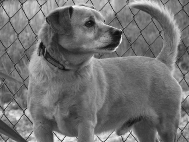 Il mio Willy 12 anni di morbidezza ^_^