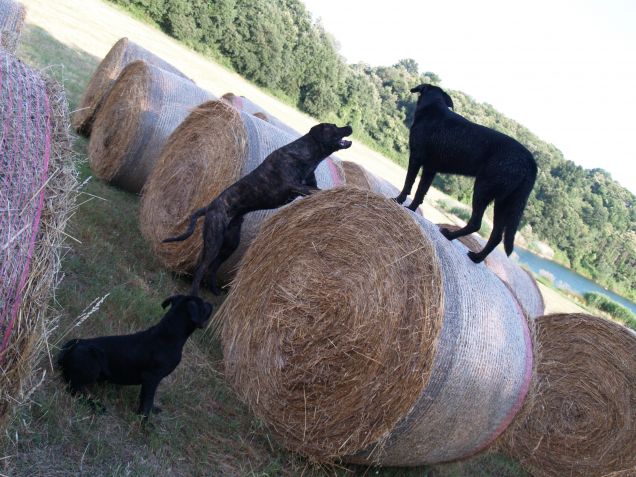 ...e i due Corsi giù per 'terra' 