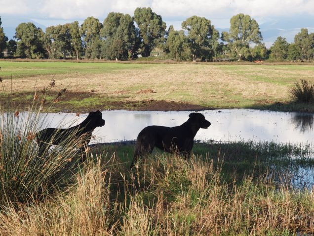 Holky z naší školky 