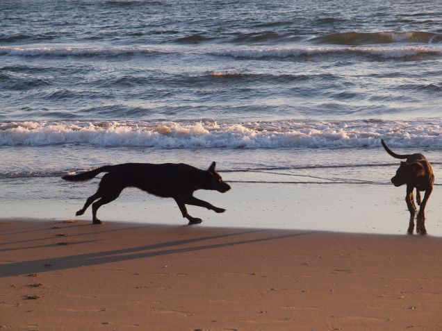 Atmosfere del quotidiano 