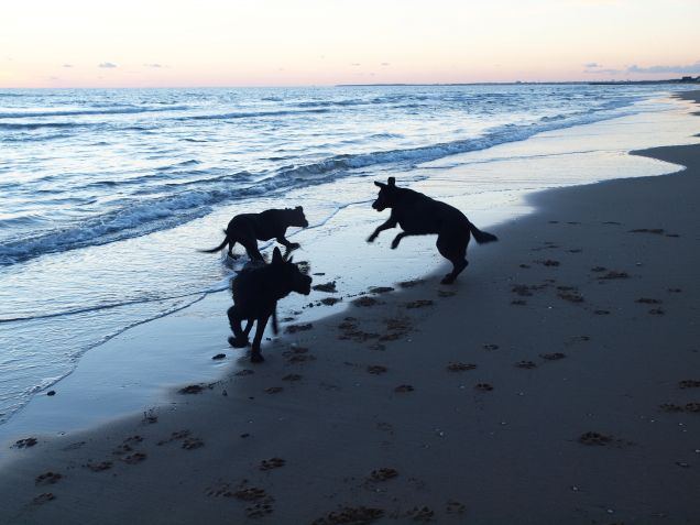 Prima che scenda la sera