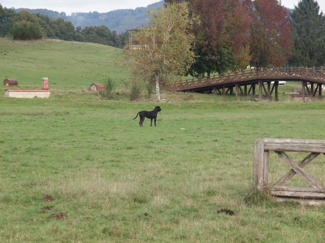 Ed allora, cosa vuoi?