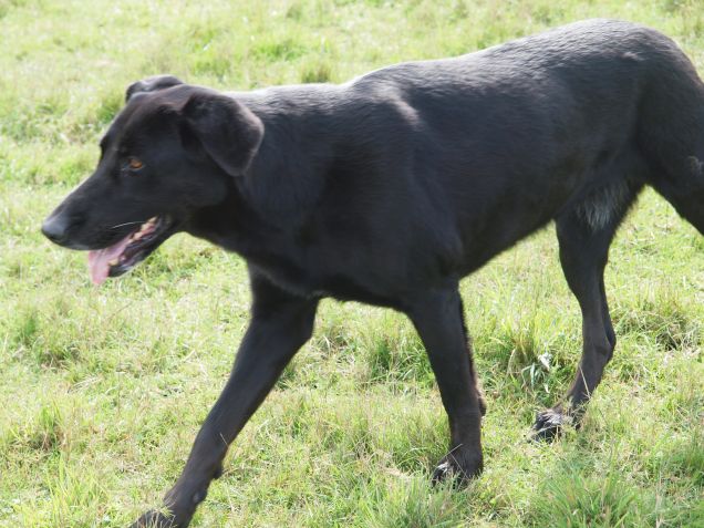 Essere per sempre nonostante il limite