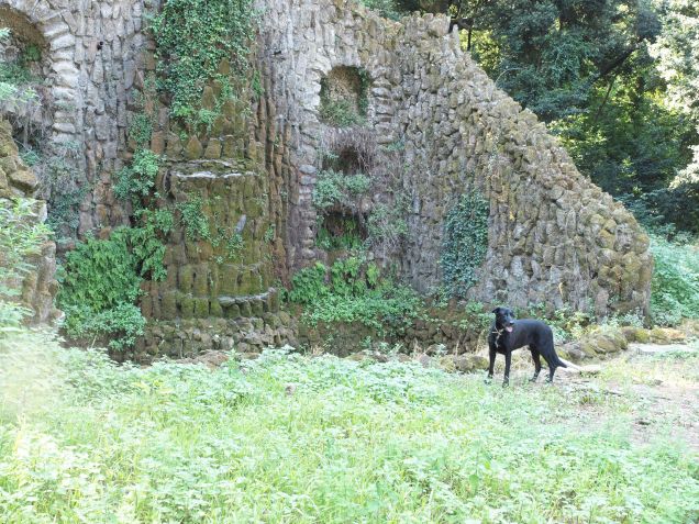 L'acqua che non c'è