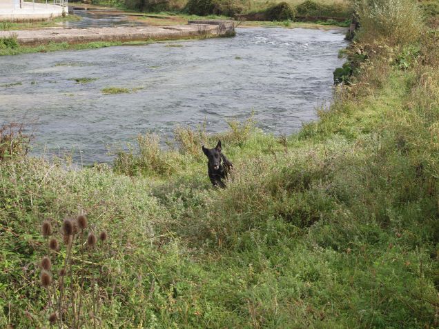 Ritorno sul cammino...