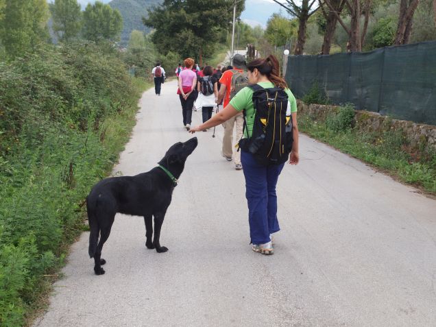 Un cane nero e venti chilometri da percorrere