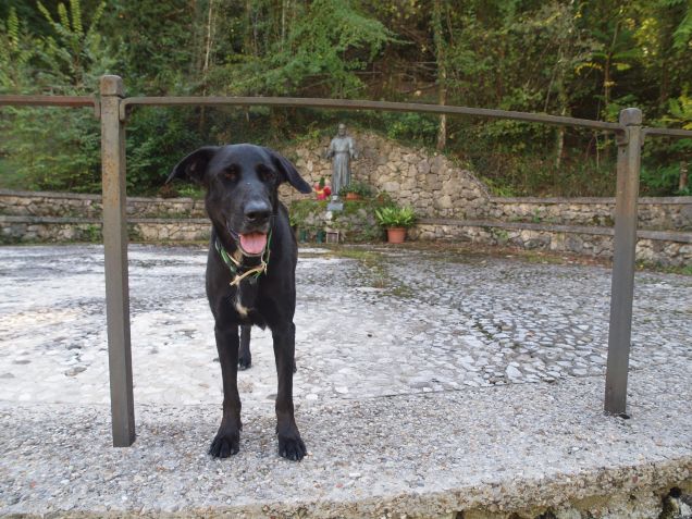 Arrivati a destinazione!!! Soddisfatta e rifocillata :-D