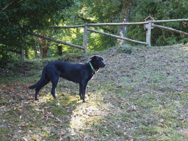 Ciaspolina e la sua prima marcia