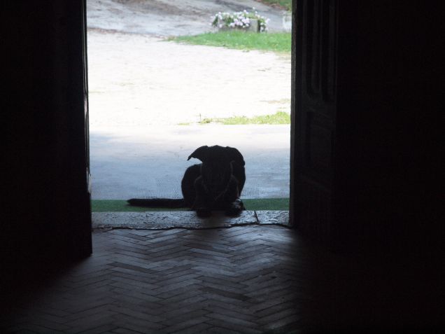 Chi nel convento e chi sull'uscio 