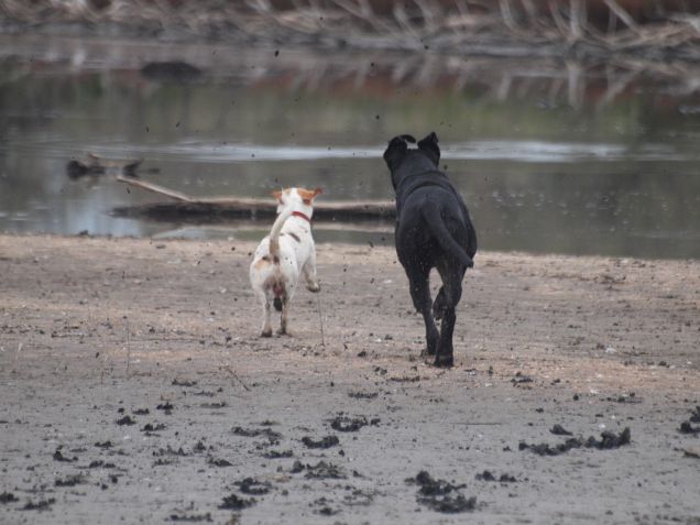 Chi arriverà prima?