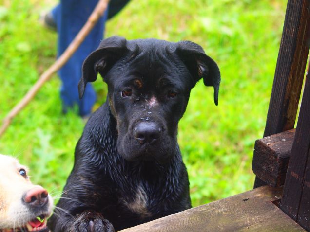 Tanto non mi sfuggi... 