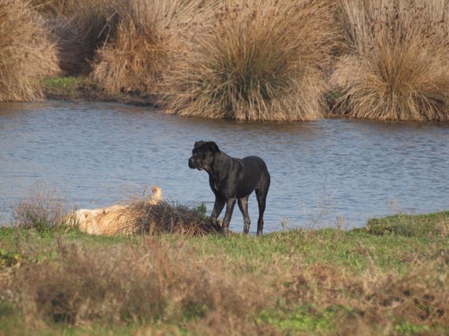 Bagnarsi per sporcarsi