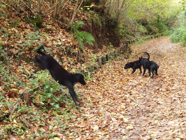 Tutti giù per terra 