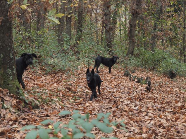 Sempre sull'attenti!!