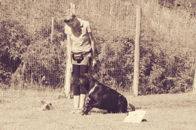 Binomio senza colori 