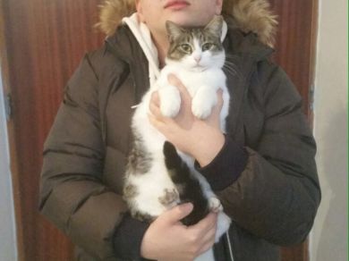 Otello