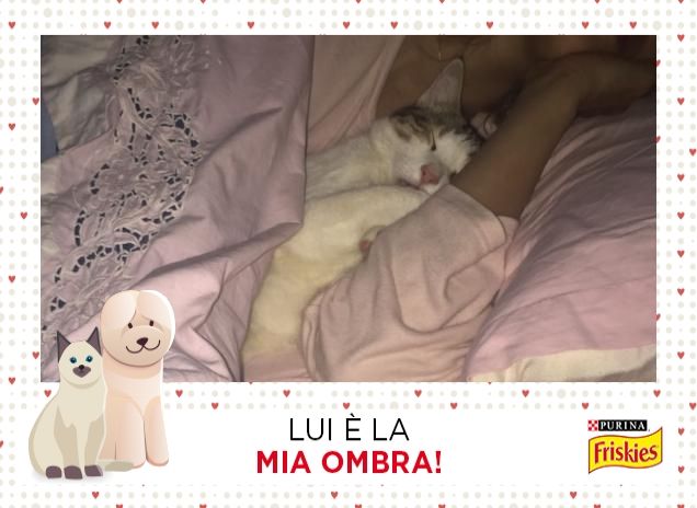 Come è bello dormire con la mamma :)