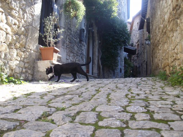 attenti sono di guardia!